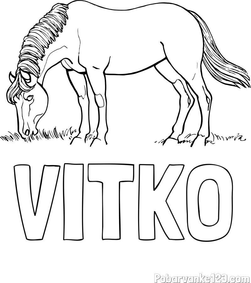 Pobarvanka imena VITKO in pobarvanka konja med pašo