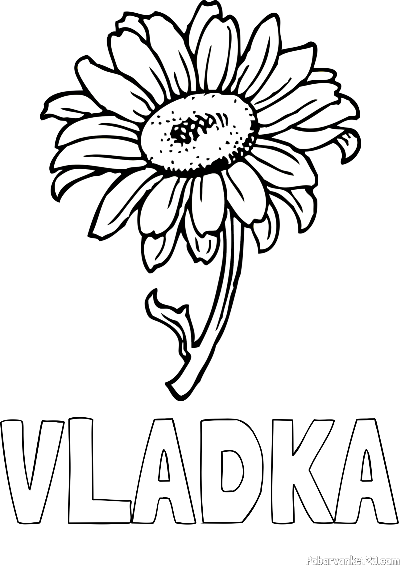 Pobarvanka imena VLADKA in pobarvanka lepe sončnice