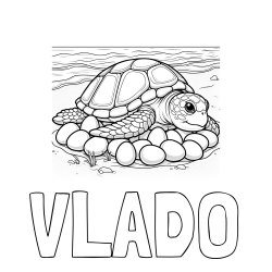 Online izdelana pobarvanka - Pobarvanka imena VLADO in pobarvanka želve na obali