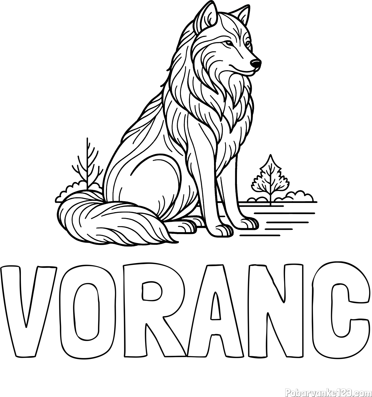 Pobarvanka imena VORANC in pobarvanka sedečega volka