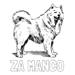 Online izdelana pobarvanka - Pobarvanka imena ZA MANCO in pobarvanka čudovitega samojega