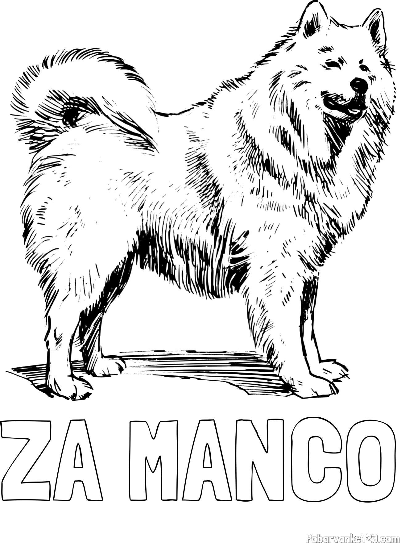 Pobarvanka imena ZA MANCO in pobarvanka čudovitega samojega