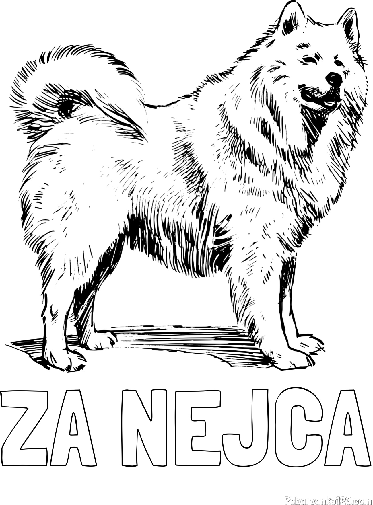 Pobarvanka imena ZA NEJCA in pobarvanka čudovitega samojega