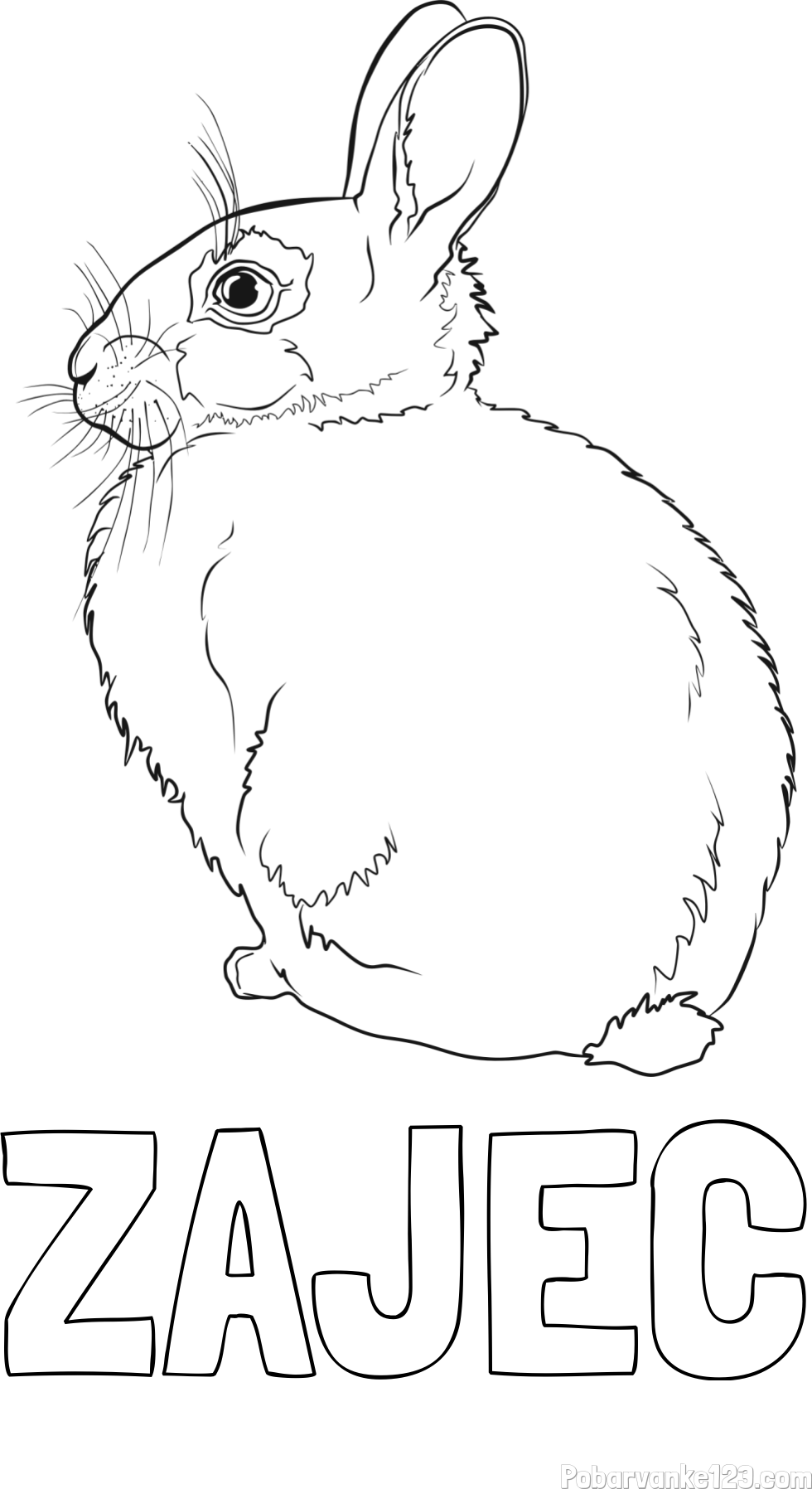 Pobarvanka imena ZAJEC in pobarvanka debelega zajca