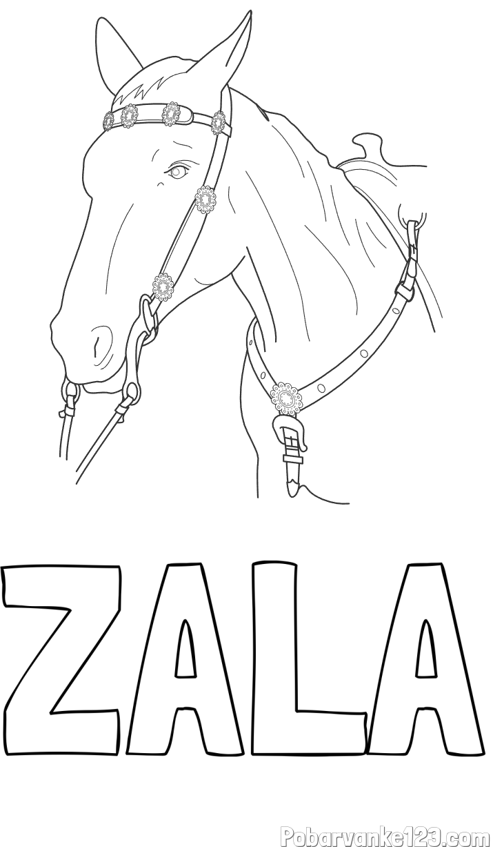 Pobarvanka imena ZALA in pobarvanka konjske glave