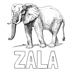 Pobarvanka imena ZALA in pobarvanka mogočnega slona