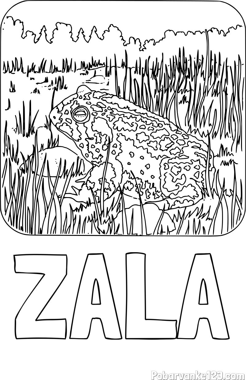 Pobarvanka imena ZALA in pobarvanka žabe