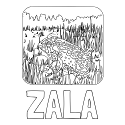 Online izdelana pobarvanka - Pobarvanka imena ZALA in pobarvanka žabe