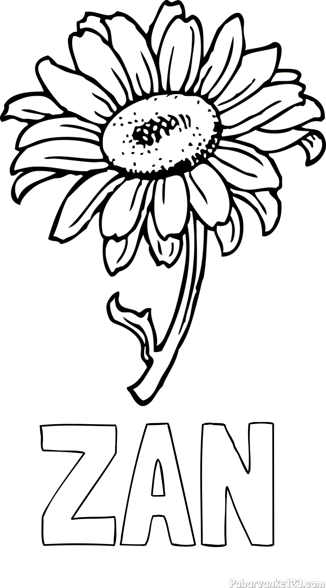 Pobarvanka imena ZAN in pobarvanka lepe sončnice