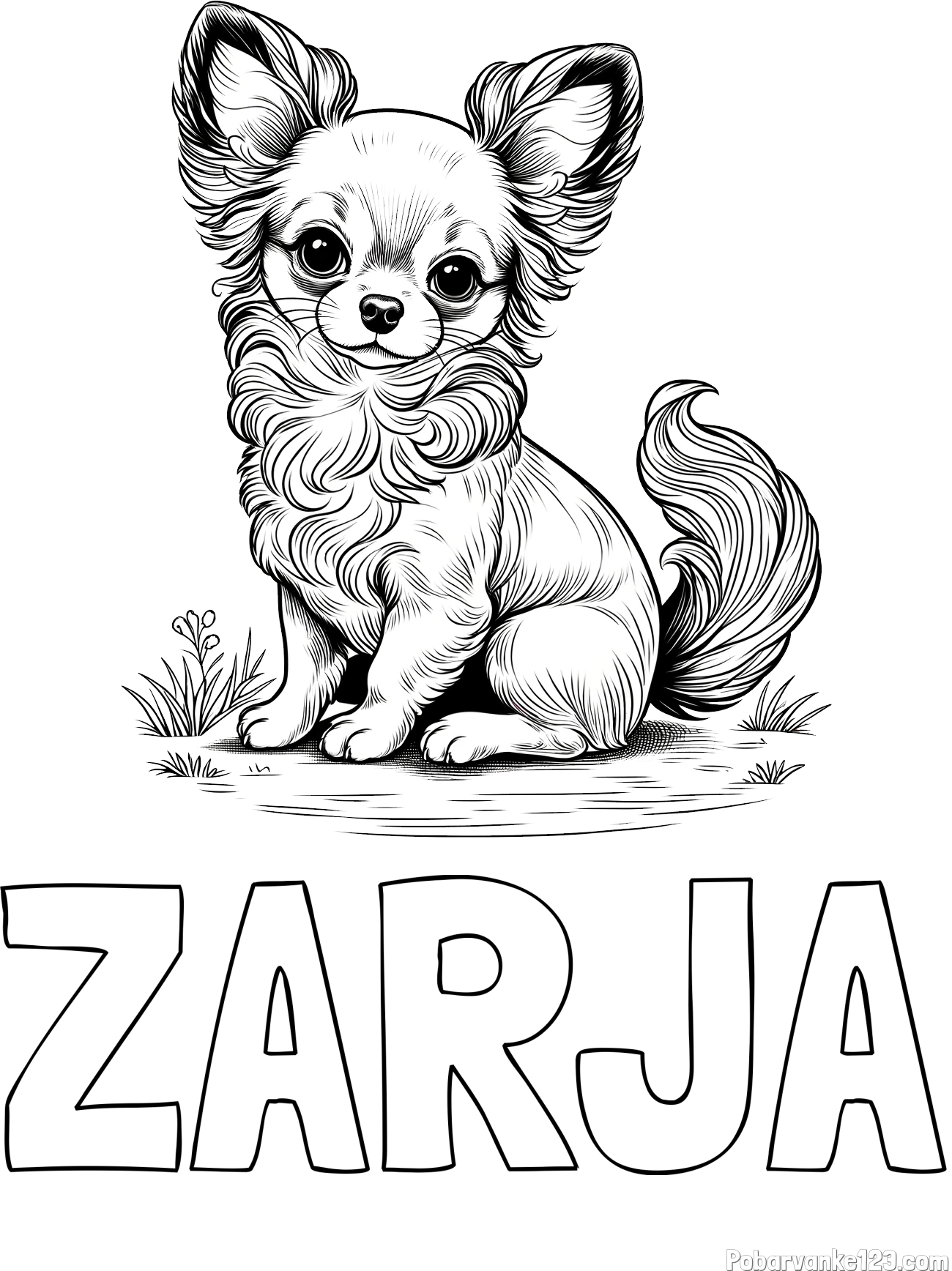 Pobarvanka imena ZARJA in pobarvanka ljubke čivave