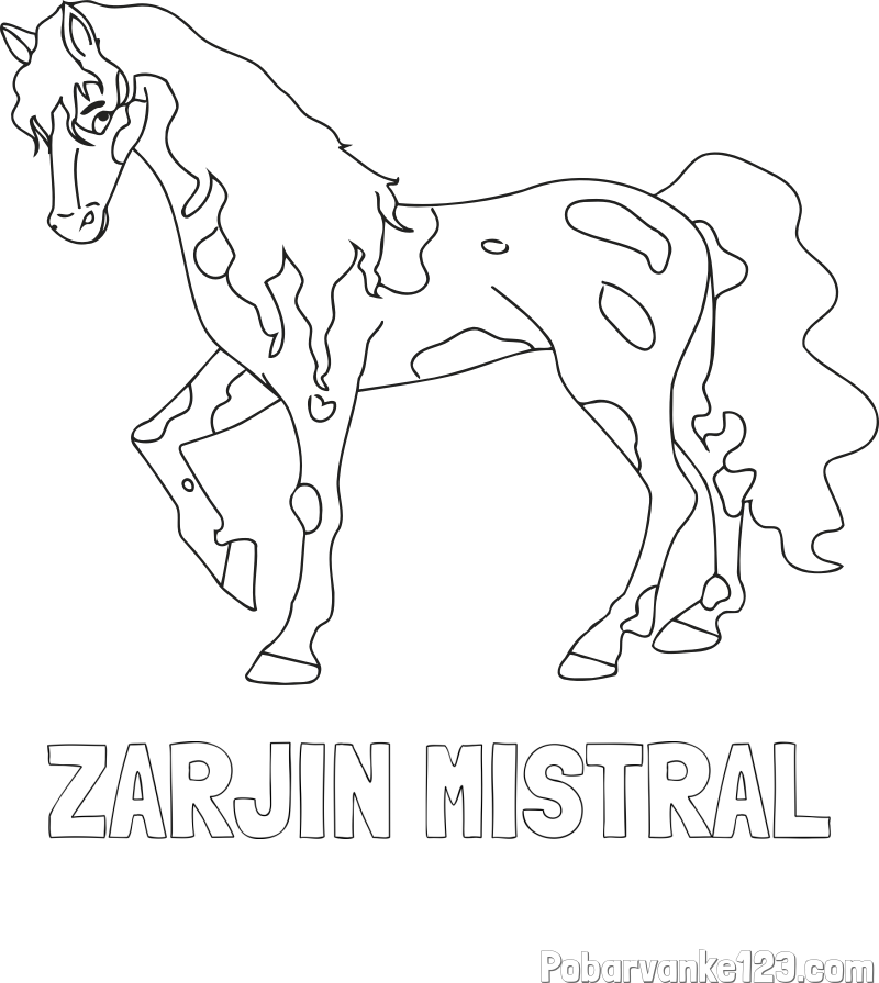 Pobarvanka imena ZARJIN MISTRAL in pobarvanka lisastega konja