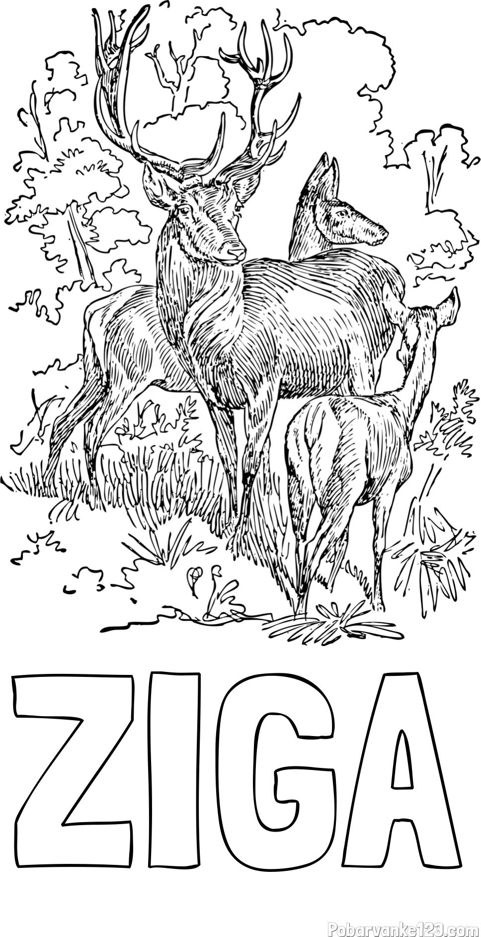 Pobarvanka imena ŽIGA in pobarvanka jelena, srne ter mladička