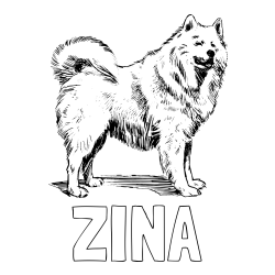 Online izdelana pobarvanka - Pobarvanka imena ZINA in pobarvanka čudovitega samojega