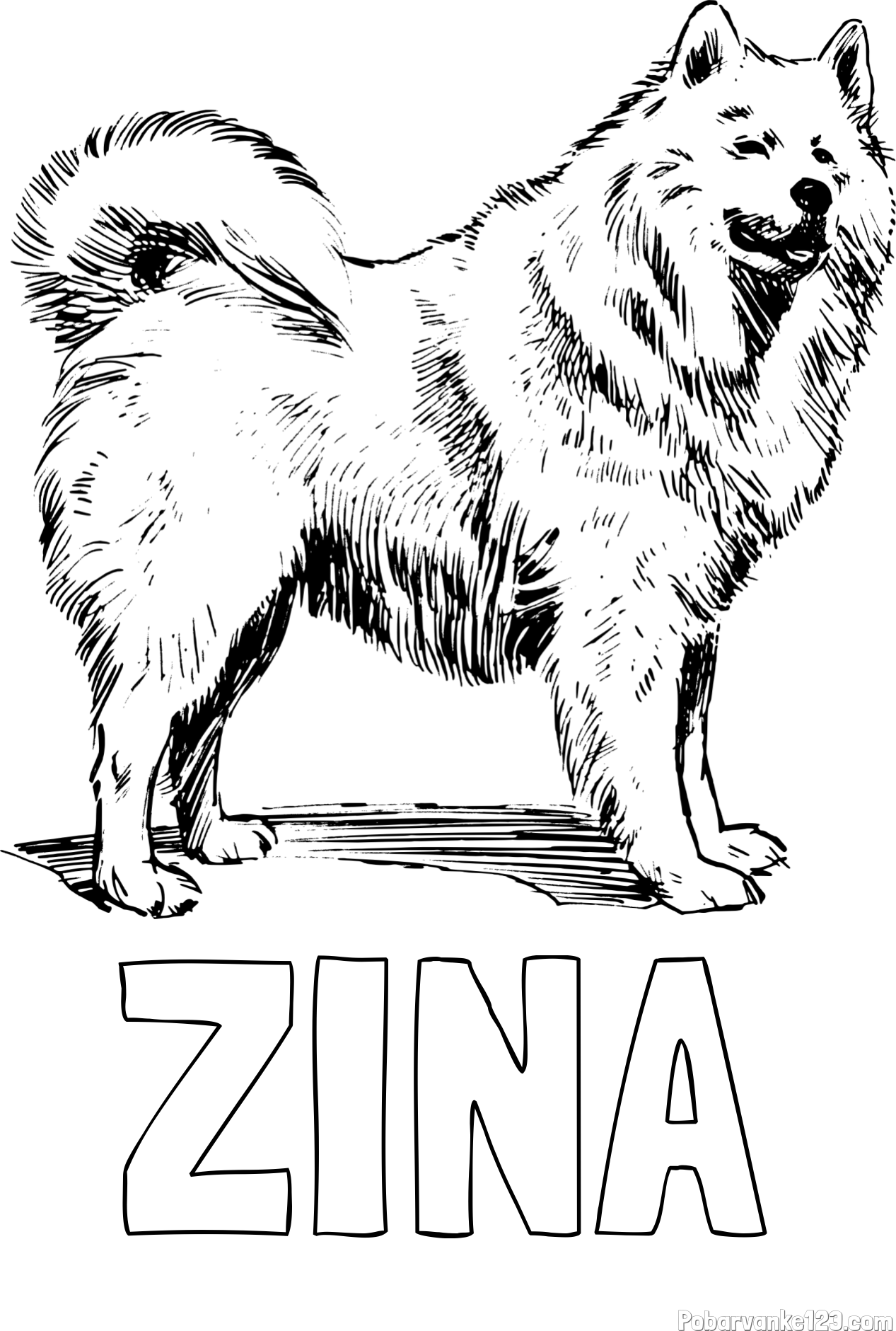 Pobarvanka imena ZINA in pobarvanka čudovitega samojega
