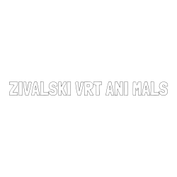 Online izdelana pobarvanka - Pobarvanka imena ŽIVALSKI VRT ANI MALS