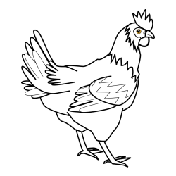 Pobarvanka kokoške