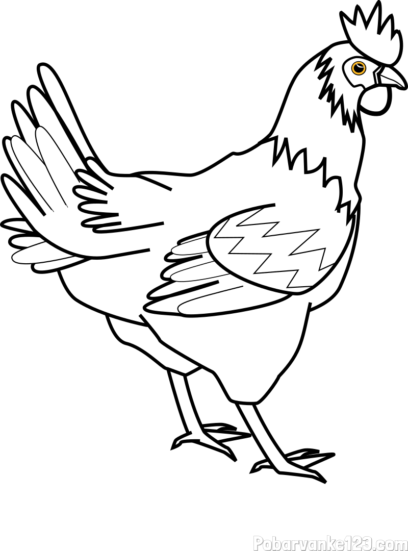 Pobarvanka kokoške