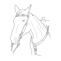 Pobarvanka konjske glave