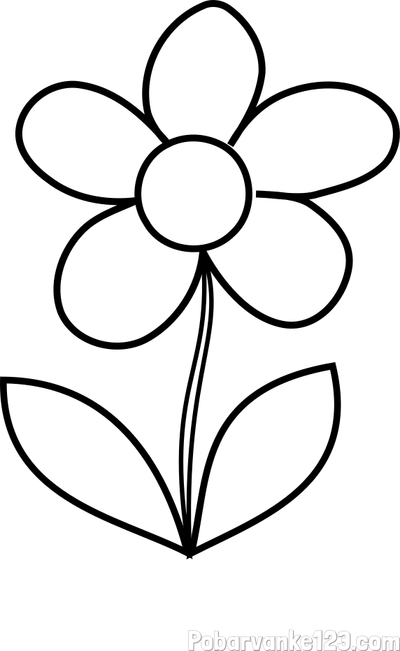 Pobarvanka lepe cvetlice