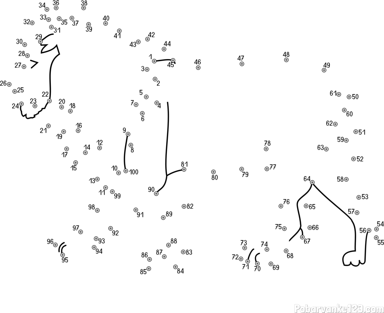 Pobarvanka leva - poveži številke