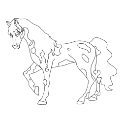 Pobarvanka lisastega konja