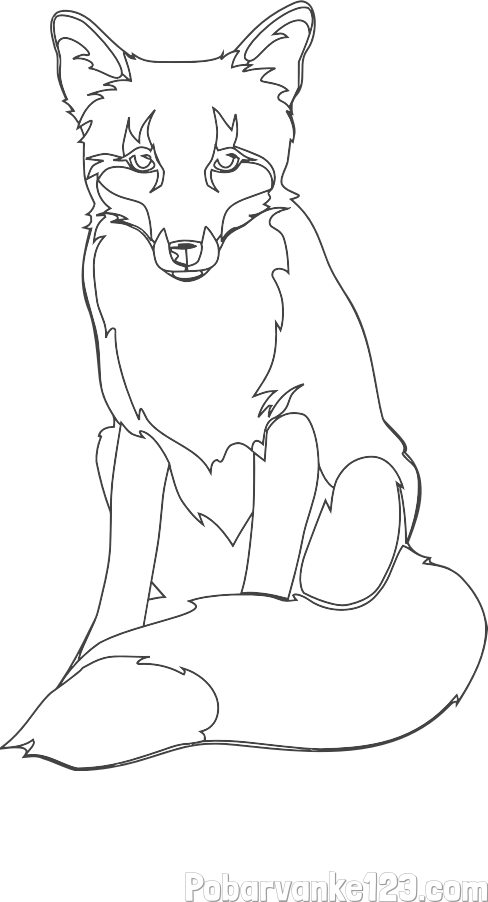 Pobarvanka lisice