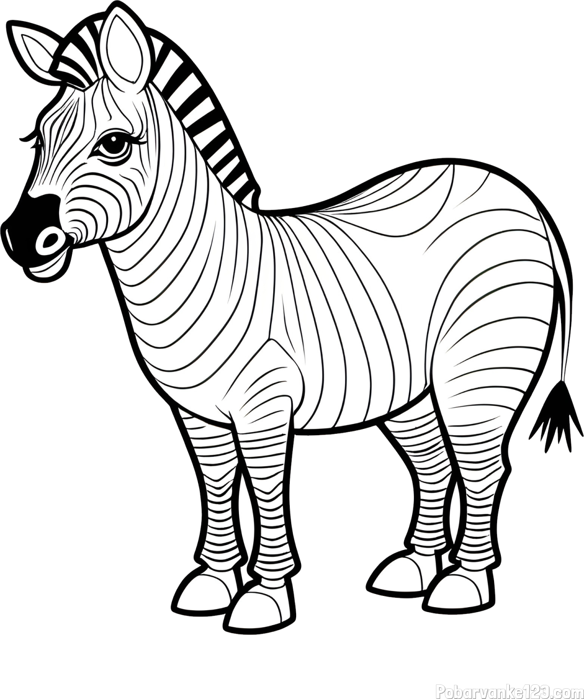 Pobarvanka ljubke zebre