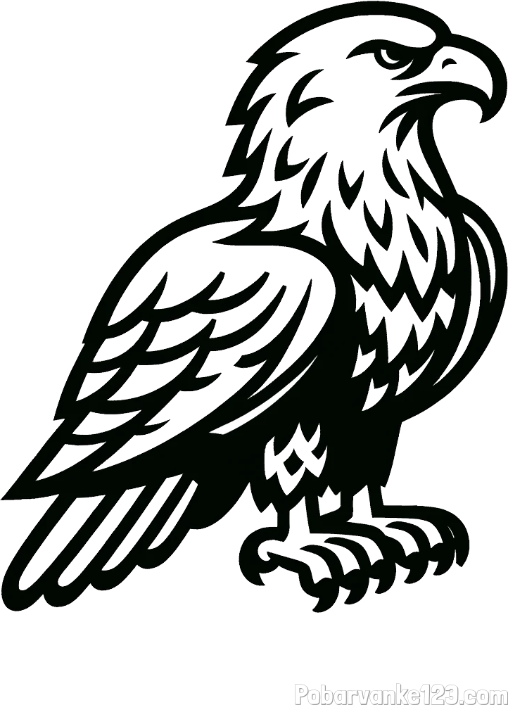 Pobarvanka  majhnega orla