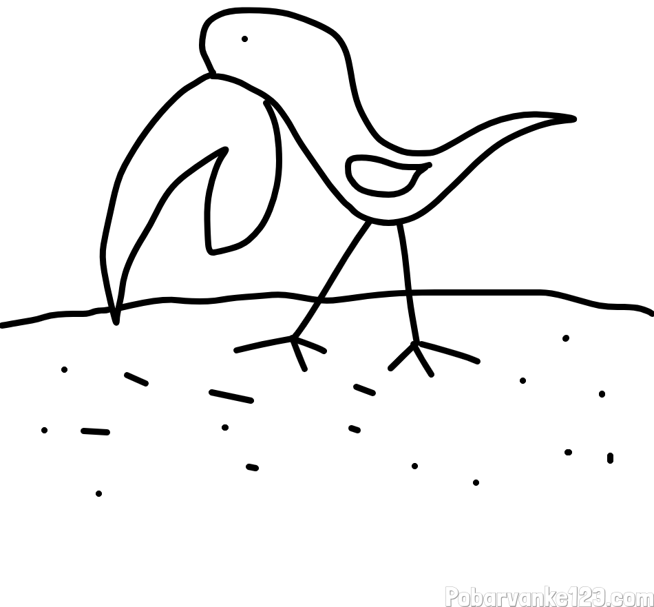 Pobarvanka nenavadnega ptička