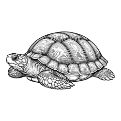 Pobarvanka orjaške želve