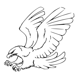 Pobarvanka orla v napadu