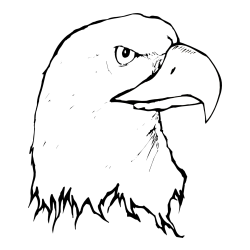 Pobarvanka orlove glave