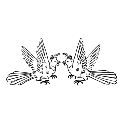 Pobarvanka papagajev pri pretepu