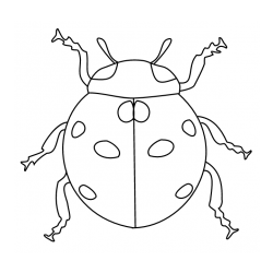 Pobarvanka pikapolonice