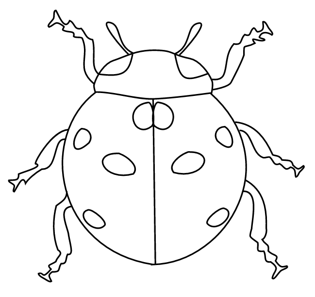 Pobarvanka pikapolonice