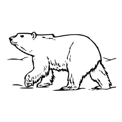 Pobarvanka polarnega medveda na lovu