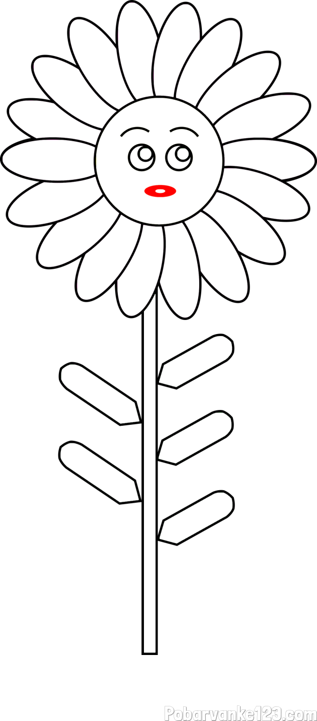 Pobarvanka preproste cvetlice