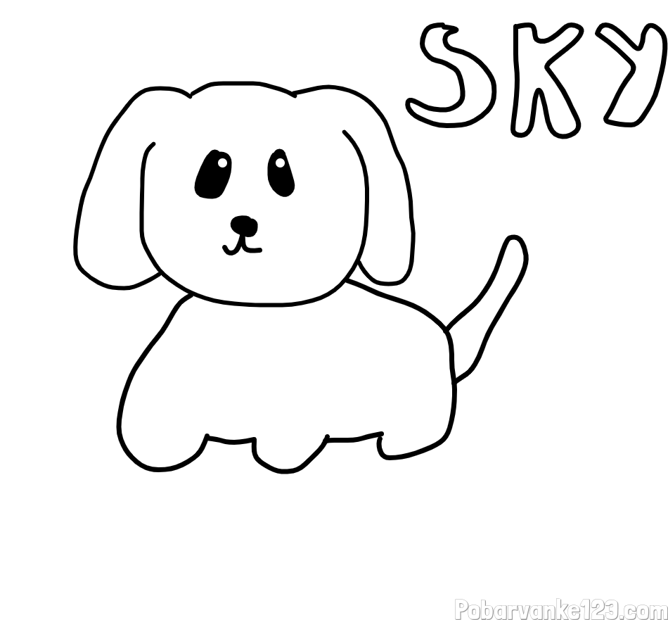 Pobarvanka psička Sky-a