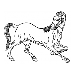 Pobarvanka prikupno razigranega konja