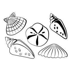 Pobarvanka različnih školjk