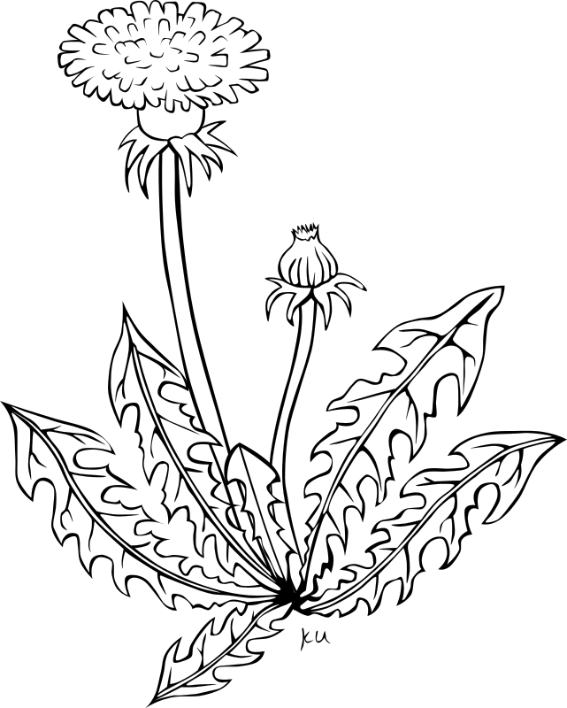 Pobarvanka regratove lučke