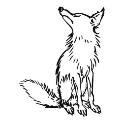 Pobarvanka stare lisice