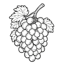 Pobarvanka velikega grozdja