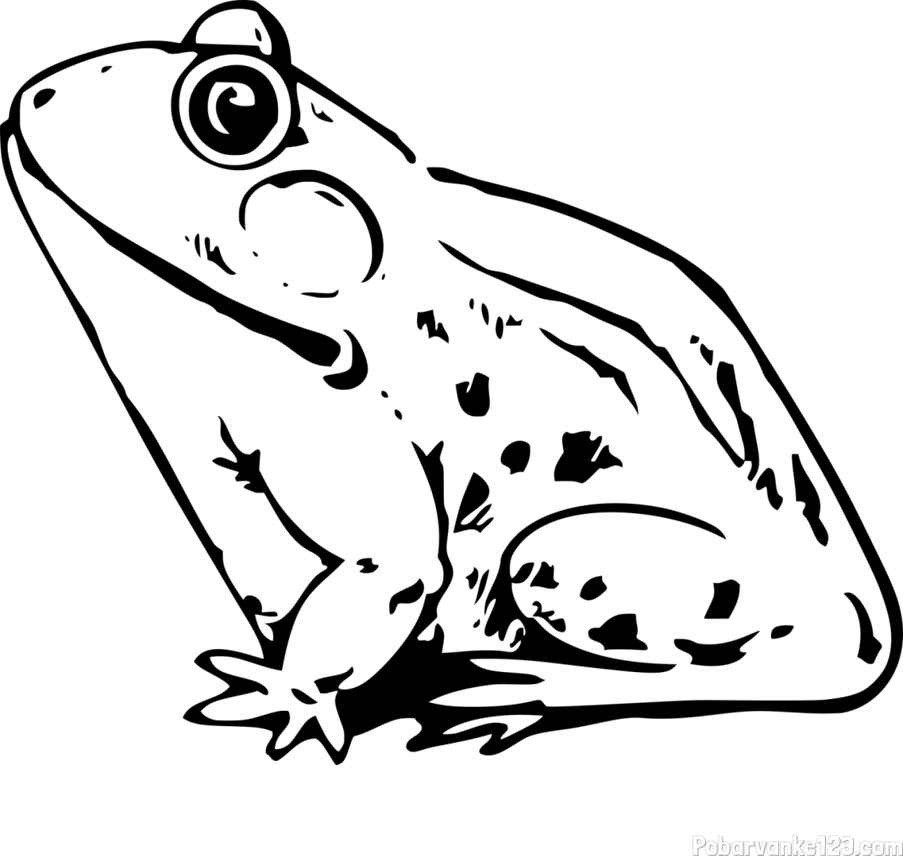 Pobarvanka žabe Regice