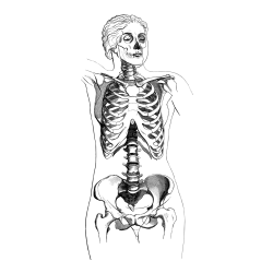 Pobarvanka ženskega okostja