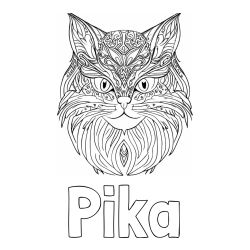 Pobarvanke mucke Pike