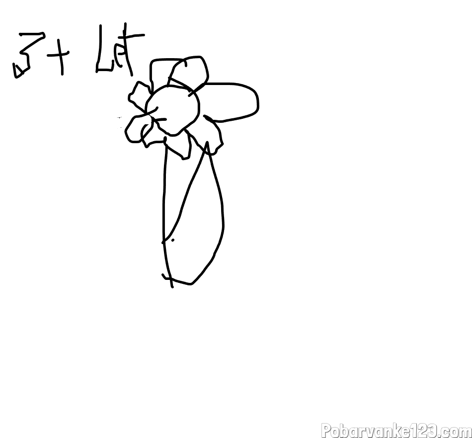 ROŽA  OD 3 LET NAPREJ