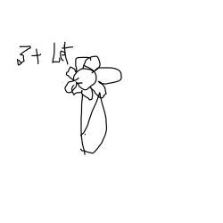 ROŽA  OD 3 LET NAPREJ