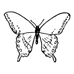 Starejša in preprosta pobarvanka metulja