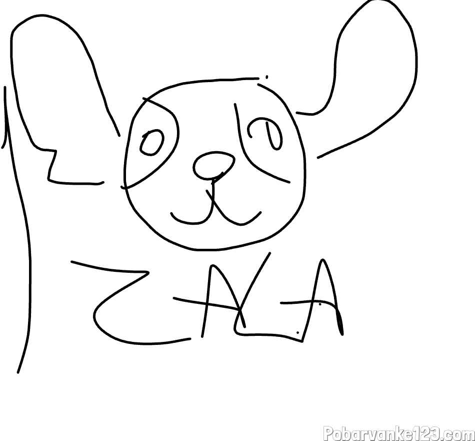 Stitch Zala